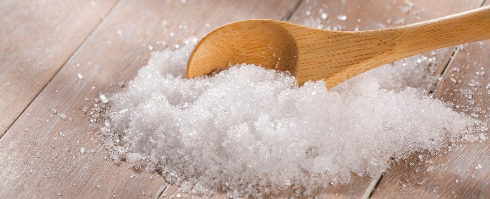 what does magnesium do