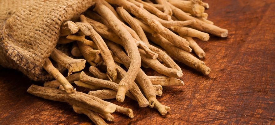 ashwagandha benefits